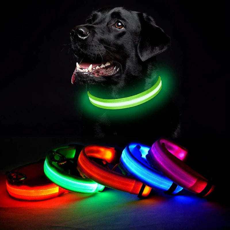Pet Dog LED Glowing Collar – USB Rechargeable Night Light, Luminous Flashing Necklace, Anti-Lost Outdoor Walking Safety Accessory