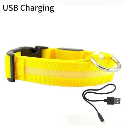Pet Dog LED Glowing Collar – USB Rechargeable Night Light, Luminous Flashing Necklace, Anti-Lost Outdoor Walking Safety Accessory
