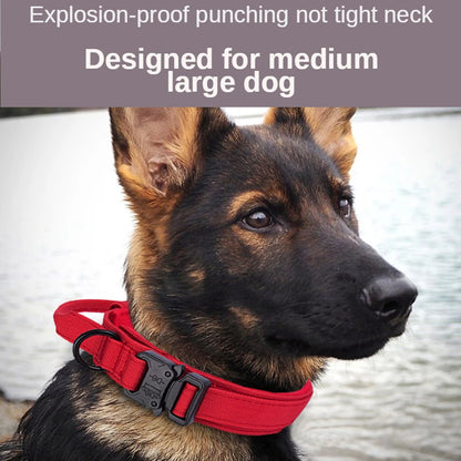 Durable Tactical Dog Collar & Leash Set – For Medium & Large Dogs