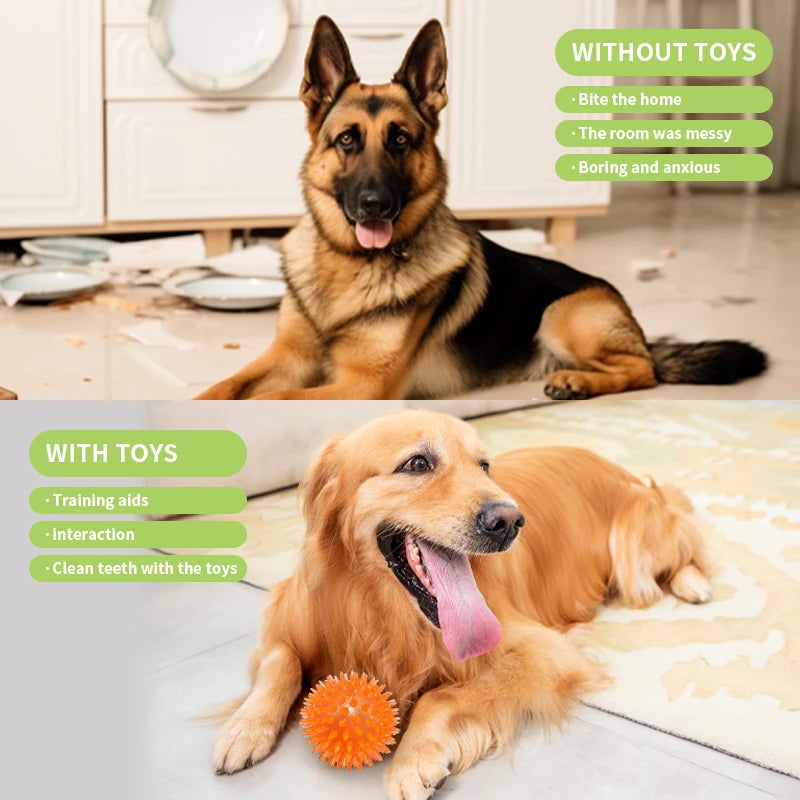 18-Piece Dog Toy Pack – Chew, Squeak, Food Dispensers & Interactive Toys