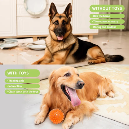 18-Piece Dog Toy Pack – Chew, Squeak, Food Dispensers & Interactive Toys