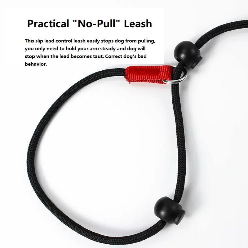 Dog Training Choke Rope Leash – 2-in-1 Slip Lead & Collar, 150cm P-Shape Control Leash for Small to Large Dogs