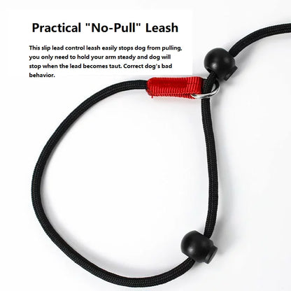 Dog Training Choke Rope Leash – 2-in-1 Slip Lead & Collar, 150cm P-Shape Control Leash for Small to Large Dogs