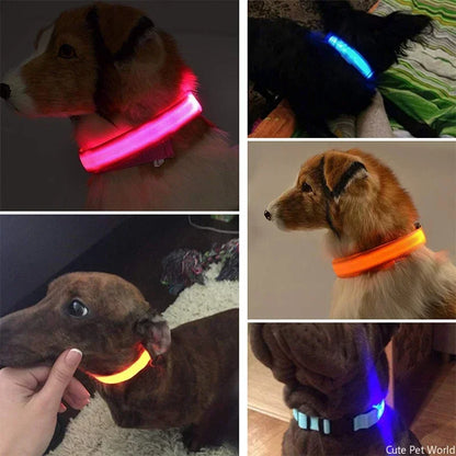 Pet Dog LED Glowing Collar – USB Rechargeable Night Light, Luminous Flashing Necklace, Anti-Lost Outdoor Walking Safety Accessory