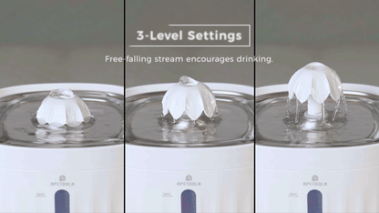 APETDOLA Automatic Cat Water Fountain – 2.1L Smart Pet Water Dispenser with Stainless Steel Tray, 6-Level Filtration, Ultra Quiet for Cats and Dogs