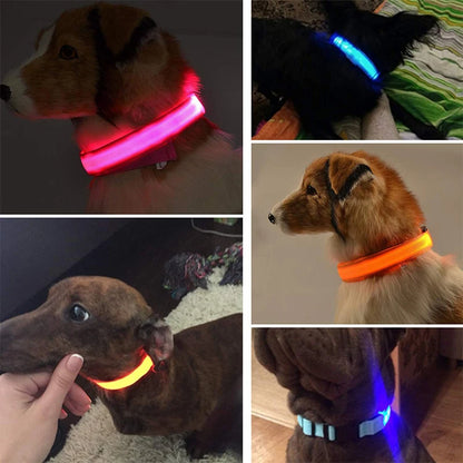 Pet Dog LED Glowing Collar – USB Rechargeable Night Light, Luminous Flashing Necklace, Anti-Lost Outdoor Walking Safety Accessory