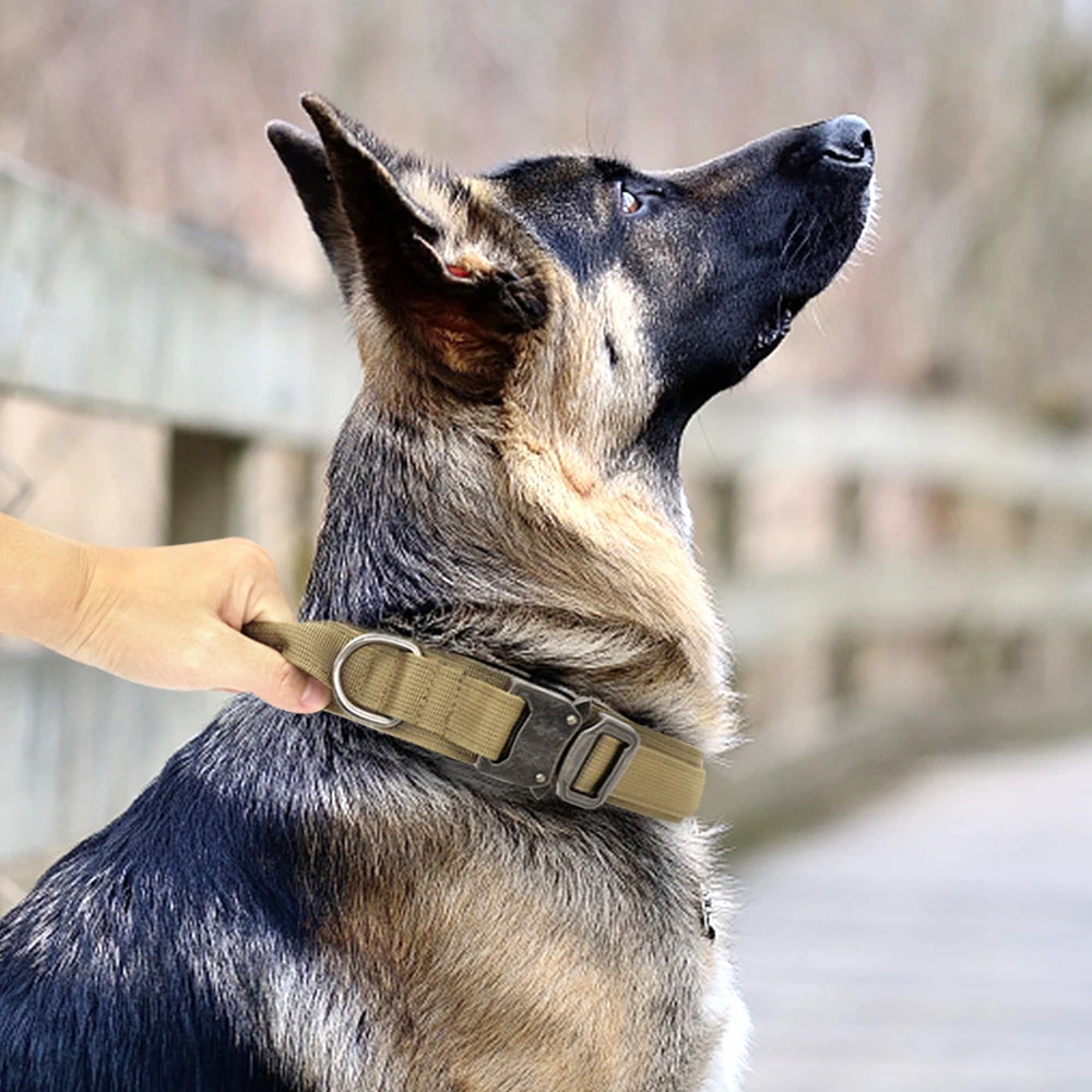 Durable Tactical Dog Collar & Leash Set – For Medium & Large Dogs