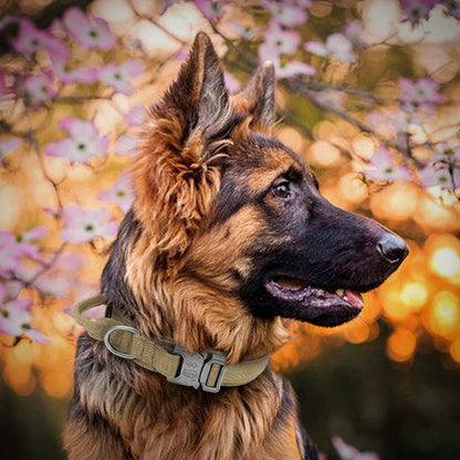 Durable Tactical Dog Collar & Leash Set – For Medium & Large Dogs