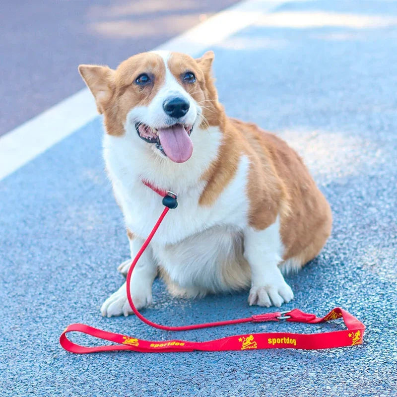 Dog Training Choke Rope Leash – 2-in-1 Slip Lead & Collar, 150cm P-Shape Control Leash for Small to Large Dogs
