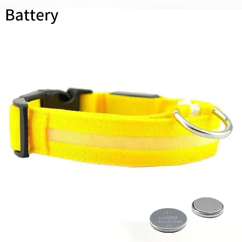 Pet Dog LED Glowing Collar – USB Rechargeable Night Light, Luminous Flashing Necklace, Anti-Lost Outdoor Walking Safety Accessory