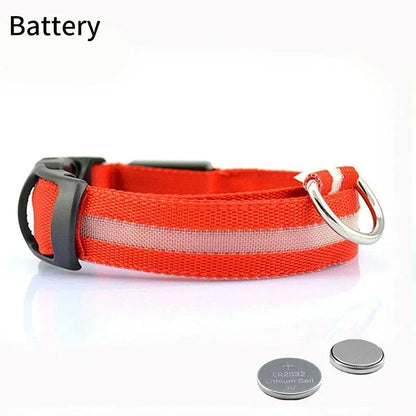 Pet Dog LED Glowing Collar – USB Rechargeable Night Light, Luminous Flashing Necklace, Anti-Lost Outdoor Walking Safety Accessory