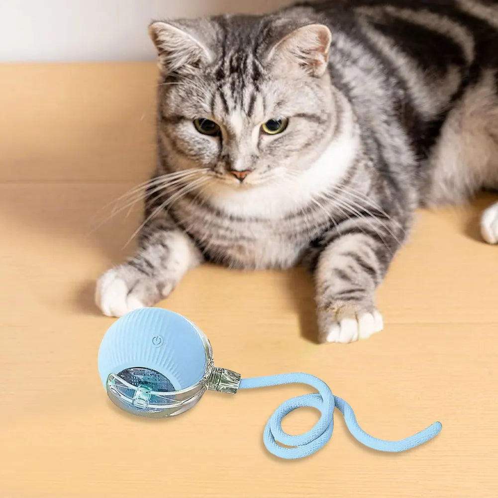 USB Rechargeable Automatic Rolling Ball for Cats – Funny Indoor Pet Toy