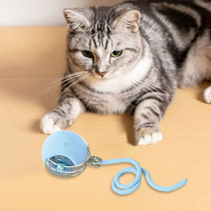 USB Rechargeable Automatic Rolling Ball for Cats – Funny Indoor Pet Toy