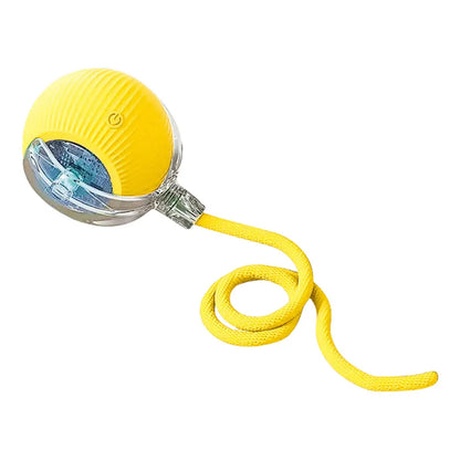 USB Rechargeable Automatic Rolling Ball for Cats – Funny Indoor Pet Toy